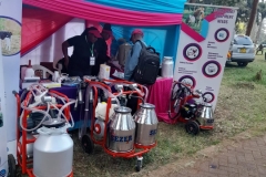 MEDILINK-IN-ACTION-AT-THE-INTERNATIONAL-TRADE-FAIR-4
