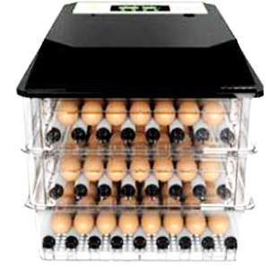 192 Egg Incubator
