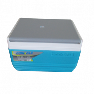 Cooler Box Blue 11I