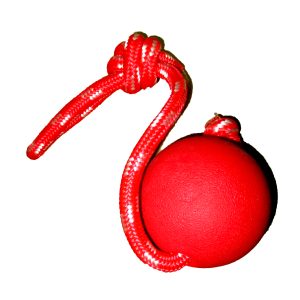 Large Ball with Rope (Dog Toy)
