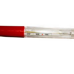 Small Clinical Thermometer