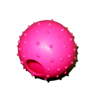 Spiked Rubber Ball (Dog Toy)