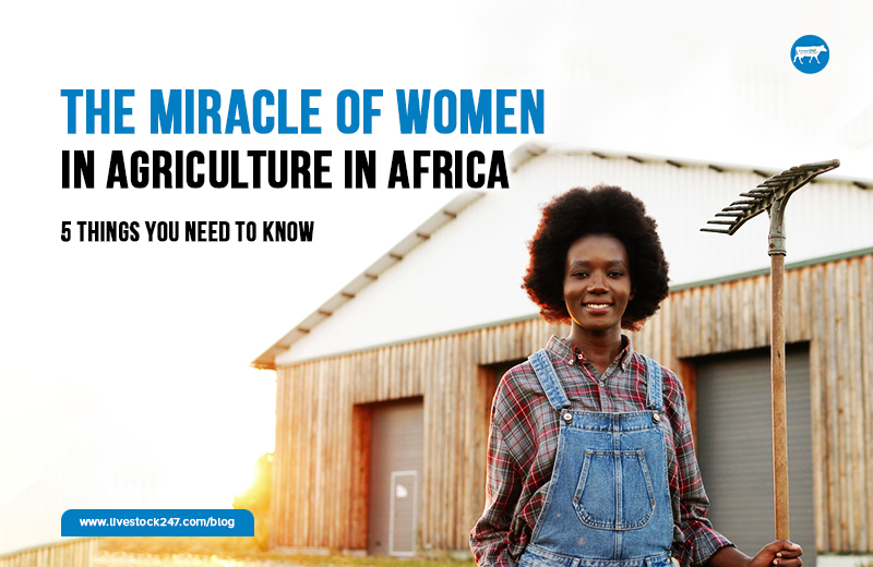 Read more about the article The Miracle of Women In Agriculture in Africa