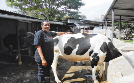 My five cows give me 90litre of milk everyday- success story of Grace Mumbi
