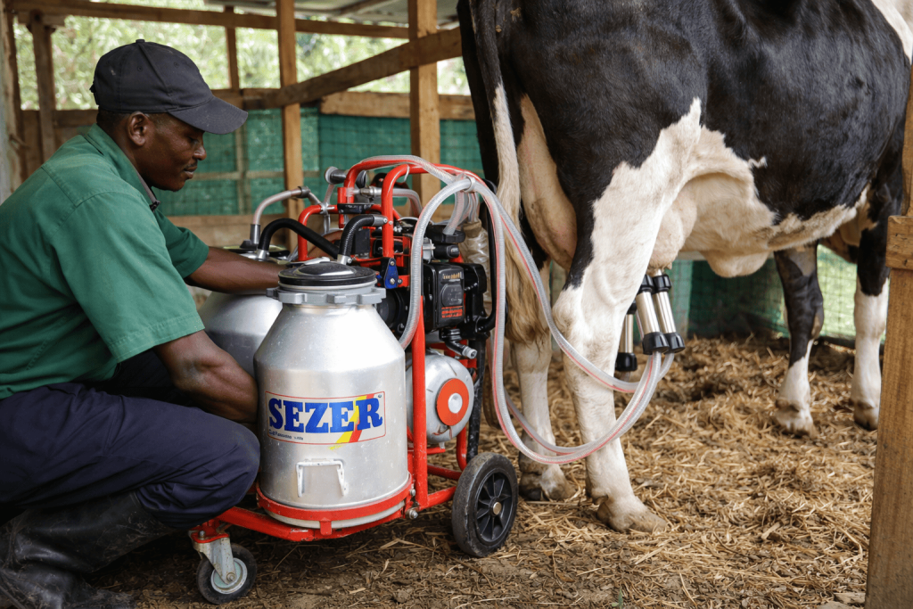 How to Choose the Best Milking Machine for Your Dairy Farm in Kenya